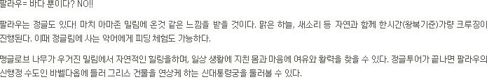 정글리버 크루즈 + 신대통령궁 투어 소개(텍스트)