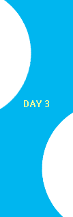 Day3